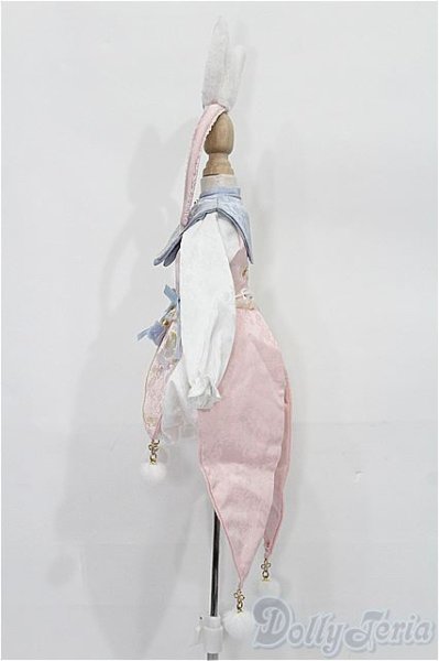 画像2: SDM＆MSD/OF:衣装セット S-25-11-30-220-TO-ZS (2)