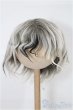 画像1: 8〜9inch/ボアウィッグ S-25-12-07-292-TO-ZS (1)