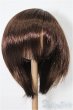 画像1: 8.5-9inch/ウィッグ S-25-12-07-291-YB-ZS (1)