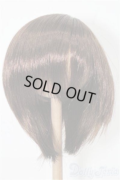 画像1: 8.5-9inch/ウィッグ S-26-01-11-388-YB-ZS (1)