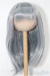 画像1: 7-8inch/ウィッグ S-25-12-07-260-TO-ZS (1)