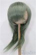 画像1: 8-9inch/ウィッグ S-25-12-14-121-TO-ZS (1)