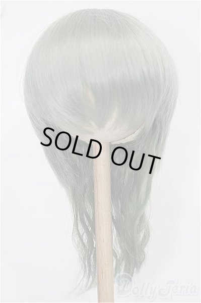 画像1: 8-9inch/ウィッグ S-25-12-14-122-TO-ZS (1)