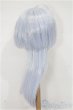 画像3: 8-9inch/ウィッグ S-25-12-14-126-TO-ZS (3)