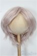 画像1: 8-9inch/ウィッグ S-25-12-14-250-TO-ZS (1)