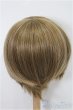 画像2: 7-8inch/ウィッグ S-25-12-14-109-TO-ZS (2)