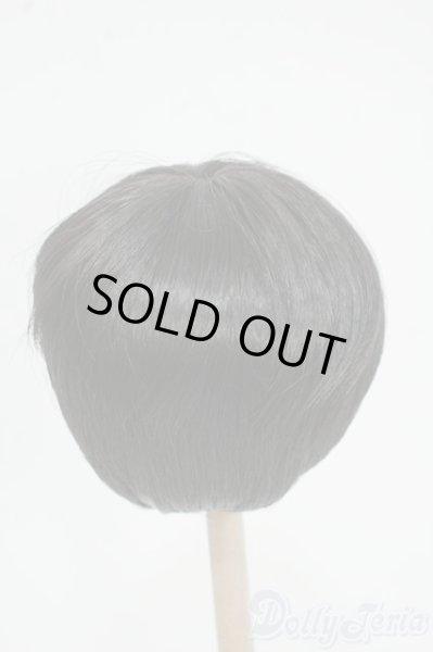 画像2: 8inch/ウィッグ Y-25-12-17-059-NY-ZY (2)