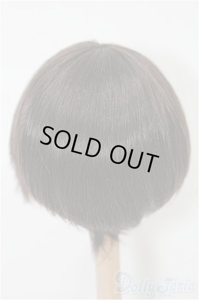 画像2: 6-7inch/ウィッグ S-25-12-14-286-TO-ZS (2)