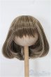 画像1: 7-8inch/ウィッグ S-25-12-14-281-TO-ZS (1)