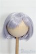 画像1: 8-9inch/ウィッグ S-25-12-28-236-TO-ZS (1)
