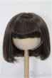 画像1: 8-9inch/ウィッグ S-26-02-01-349-TO-ZS (1)