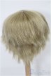 画像2: 7-8inch/ウィッグ S-25-12-21-340-TO-ZS (2)