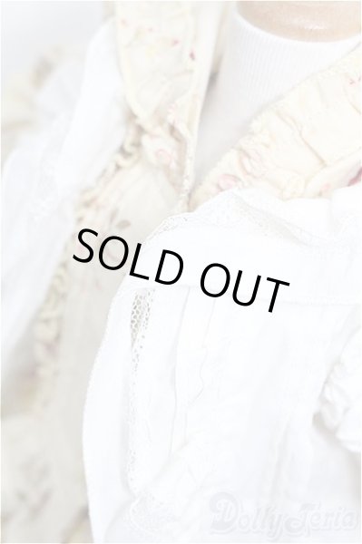 画像4: SD/OF:ワンピース S-26-01-18-129-YB-ZS (4)