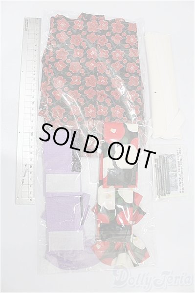 画像2: SD&DD/OF:着物 S-26-01-18-124-TO-ZS (2)