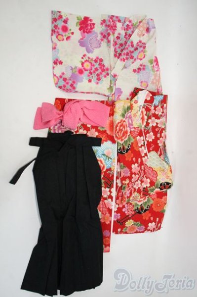 画像1: SD/OF 袴 Y-26-01-14-276-TO-ZY (1)