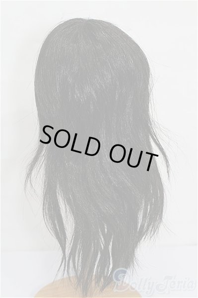 画像2: 9-10inch/ウィッグ S-26-01-11-197-YB-ZS (2)