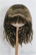 画像1: 9-10inch/ウィッグ S-26-01-11-196-YB-ZS (1)