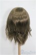 画像2: 9-10inch/ウィッグ S-26-01-11-196-YB-ZS (2)