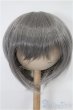 画像1: 8-9inch/ウィッグ S-26-02-01-346-TO-ZS (1)