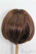 画像3: 9-10inch/ウィッグ S-26-01-18-350-TO-ZS (3)