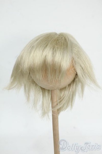 画像1: 9-10inch/ウィッグ Y-26-01-21-229-TO-ZY (1)