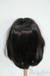 画像2: 7-8inch/ウィッグ Y-26-01-21-230-TO-ZY (2)