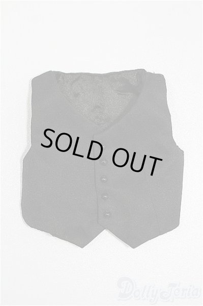 画像1: SDM&MSD/OF:トップス S-26-01-25-330-TO-ZS (1)