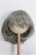 画像1: 9inch/ウィッグ S-26-01-18-347-TO-ZS (1)