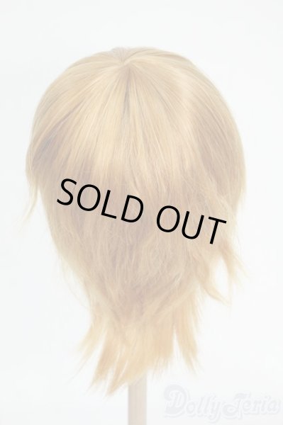 画像2: 9-10inch/ウィッグ Y-26-01-21-217-TO-ZY (2)