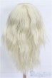画像2: 9-10inch/ウィッグ S-26-02-08-284-TO-ZS (2)