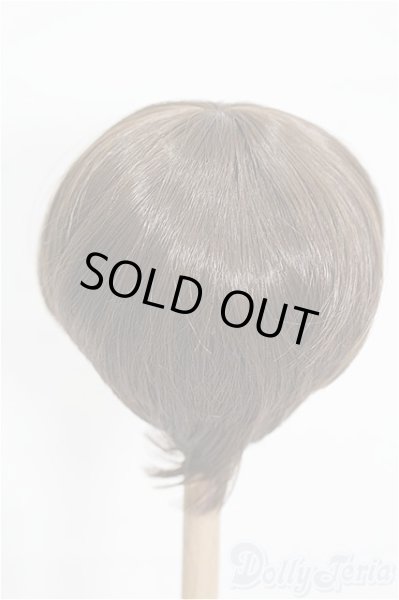 画像2: 8-9inch/ウィッグ S-26-02-08-288-TO-ZS (2)