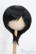 画像1: 9-10inch/ウィッグ S-26-02-08-286-TO-ZS (1)