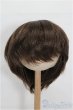 画像1: 9-10inch/ウィッグ S-26-02-15-196-TO-ZS (1)