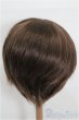 画像3: 9-10inch/ウィッグ S-26-02-15-196-TO-ZS (3)