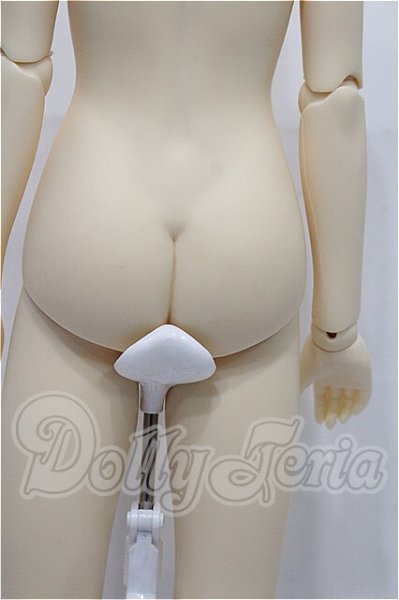 画像5: SD女の子/一体型ボディ S-26-02-22-122-TO-ZS (5)