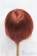 画像2: 9-10inch/ウィッグ S-26-02-15-244-TO-ZS (2)