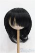 画像1: 8-9inch/ウィッグ S-26-02-15-241-TO-ZS (1)