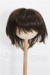 画像1: 8-9inch/ウィッグ S-26-02-22-334-TO-ZS (1)