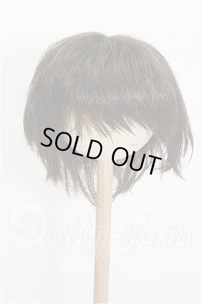 画像1: 8-9inch/ウィッグ S-26-02-22-334-TO-ZS (1)