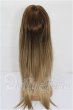 画像2: 9-10inch/ウィッグ S-26-02-22-326-TO-ZS (2)