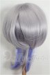 画像3: 8-9inch/ウィッグ S-26-03-01-280-TO-ZS (3)
