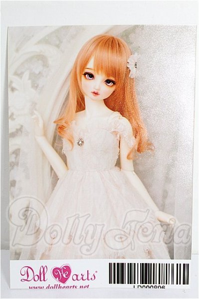 画像1: SD13G/OF:衣装セット S-26-03-08-126-TO-ZS (1)