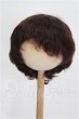 画像1: 8-9inch/ウィッグ S-26-03-29-316-TO-ZS (1)