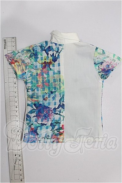 画像2: SD17B/OF:トップス S-26-03-29-133-TO-ZS (2)