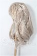 画像2: 8-9inch/ウィッグ S-26-04-12-260-YB-ZS (2)