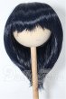 画像1: 8-9inch/ウィッグ S-26-09-20-300-TO-ZS (1)