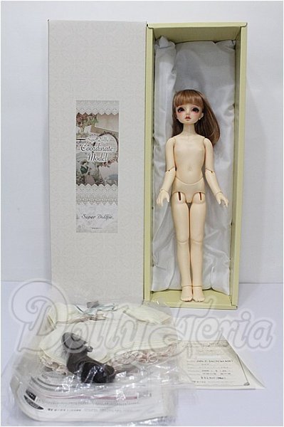 画像8: SDM女の子/コーディネートモデル：F-54 S-26-04-26-202-TO-ZS (8)