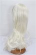 画像2: 9-10inch/ウィッグ S-26-06-21-235-TO-ZS (2)