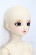 画像3: SDC女の子/ミナ S-26-05-10-301-TO-ZS (3)