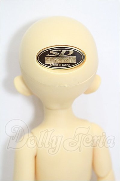 画像6: 幼SD/空太2nd S-26-05-10-304-TO-ZS (6)